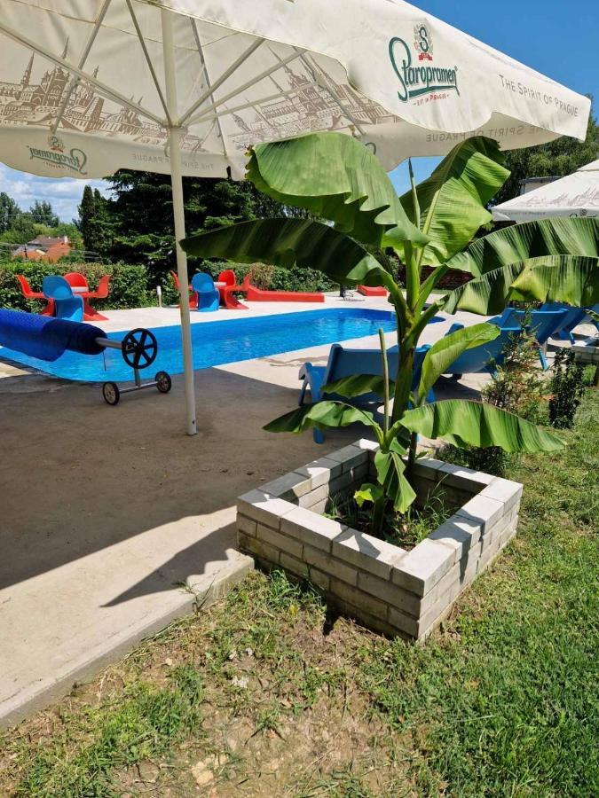 Villa Gabino Balatonbereny Ngoại thất bức ảnh