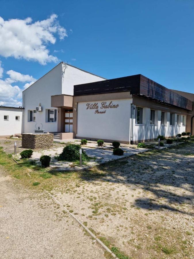 Villa Gabino Balatonbereny Ngoại thất bức ảnh
