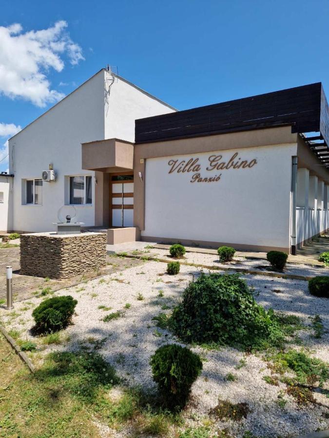 Villa Gabino Balatonbereny Ngoại thất bức ảnh